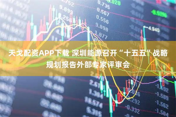 天戈配资APP下载 深圳能源召开“十五五”战略规划报告外部专家评审会
