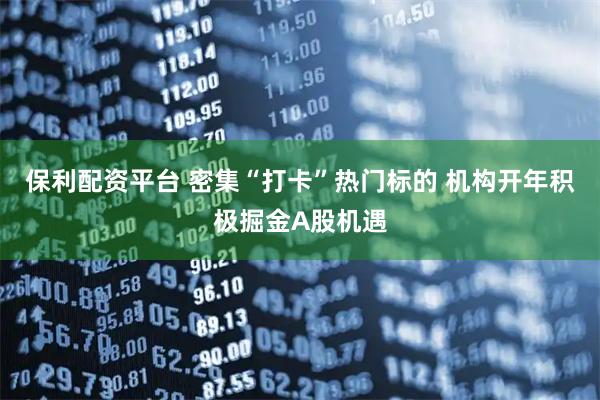 保利配资平台 密集“打卡”热门标的 机构开年积极掘金A股机遇